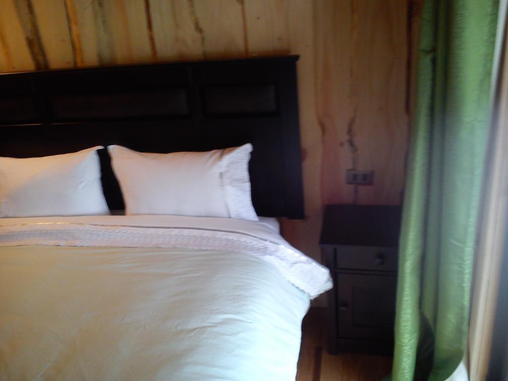 Hostal Los Alamos Neltume Pokoj fotografie