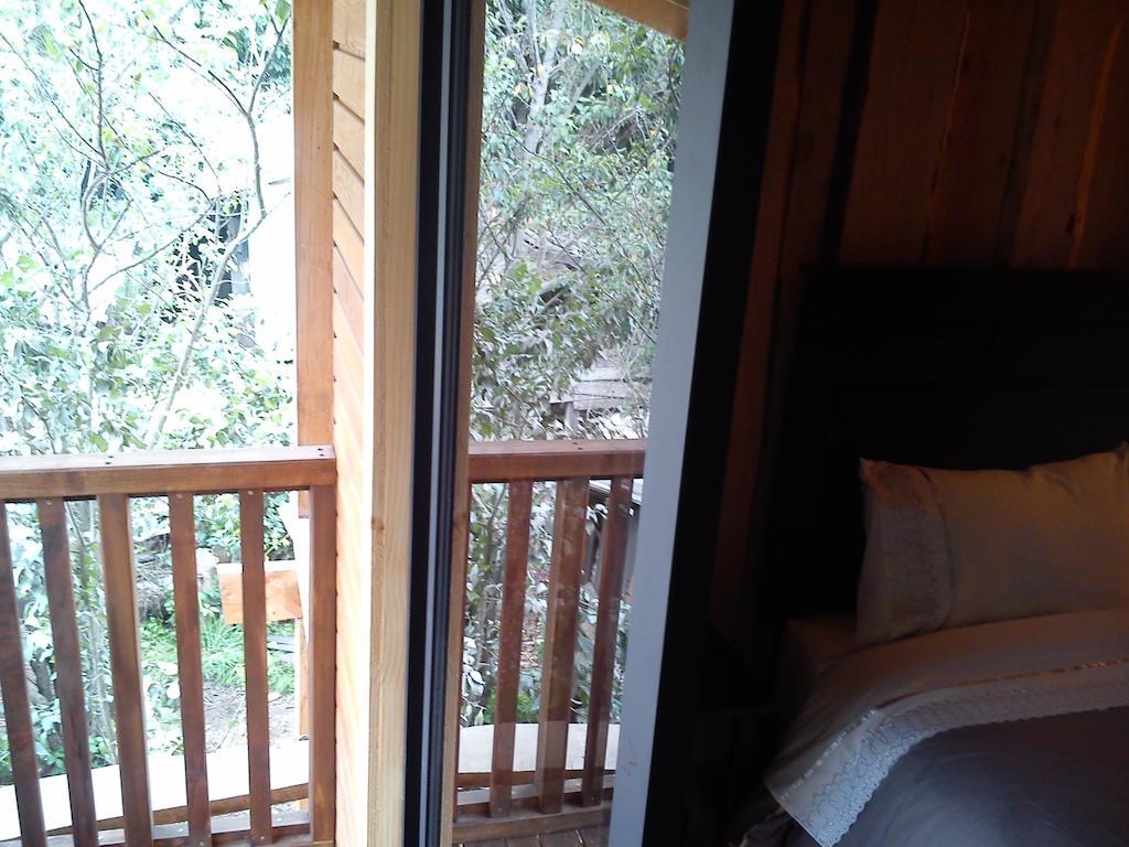 Hostal Los Alamos Neltume Exteriér fotografie