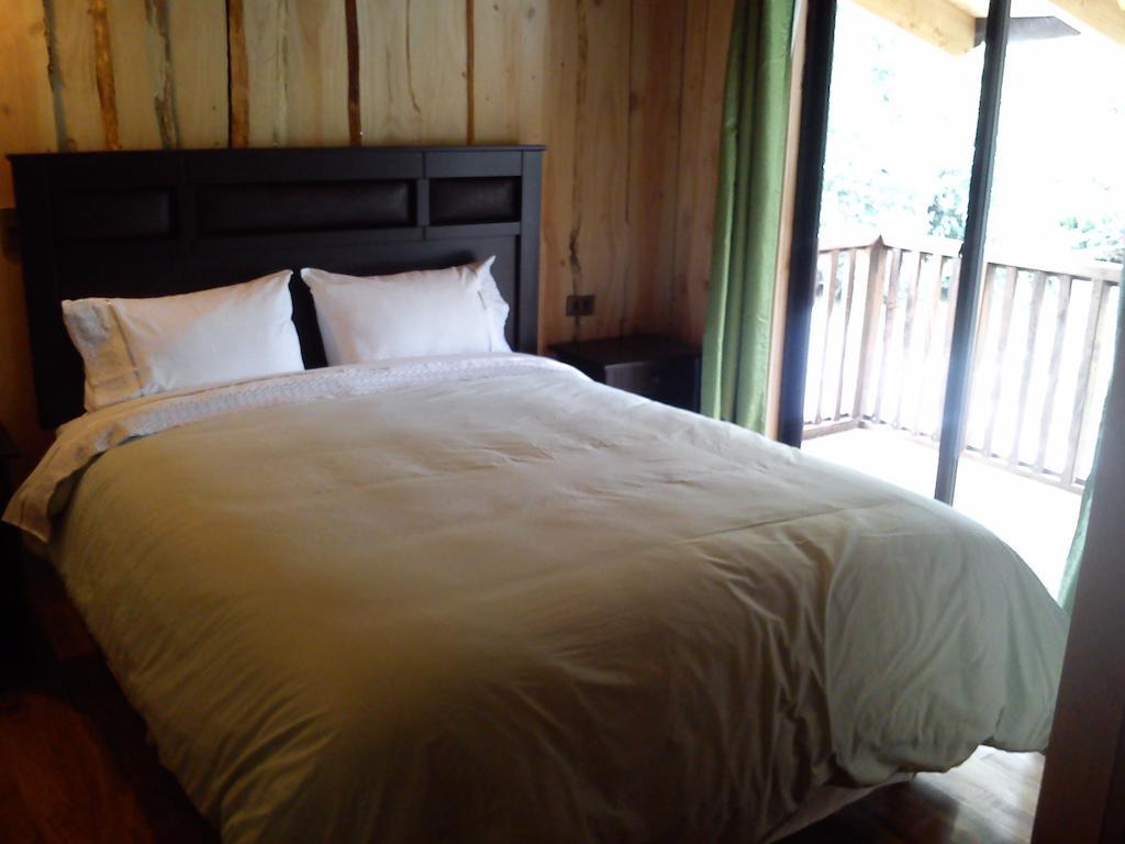 Hostal Los Alamos Neltume Exteriér fotografie